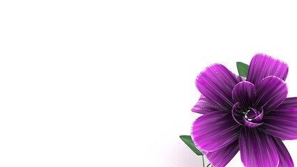 A delicate purple flower with a twisted green stem and broad leaves, standing tall on a clean white background. The image symbolizes nature, simplicity, and beauty.