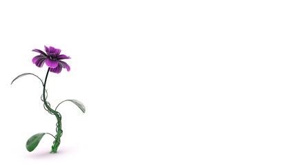 A delicate purple flower with a twisted green stem and broad leaves, standing tall on a clean white background. The image symbolizes nature, simplicity, and beauty.