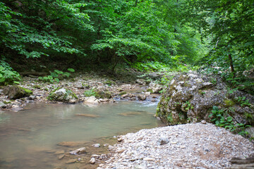 shallow mountain river, staritsa and nature walks, spring day