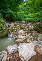 shallow mountain river, staritsa and nature walks, spring day