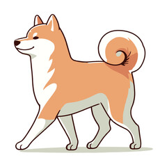 Shiba vector and illustration.