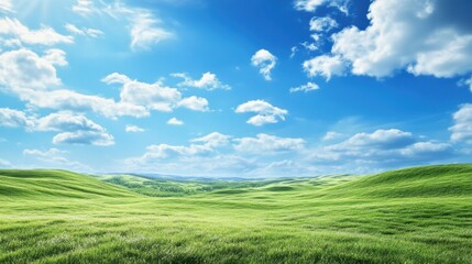 Obraz premium Rolling Green Hills Under a Bright Blue Sky with Fluffy White Clouds on a Sunny Day
