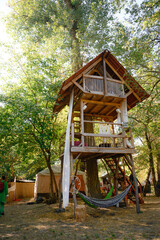 A beautiful wooden tree house with hammocks underneath. Tree house