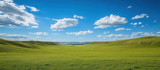 Obraz premium Expansive Green Valley Under a Clear Blue Sky with Fluffy White Clouds on a Sunny Day
