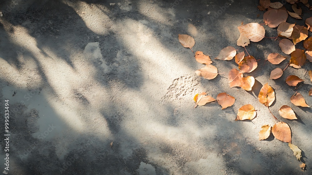 Poster fallen leaves on concrete with dappled sunlight creating patterns on the surface.