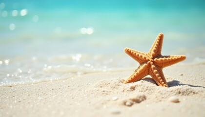  A starfishs serene seaside sanctuary