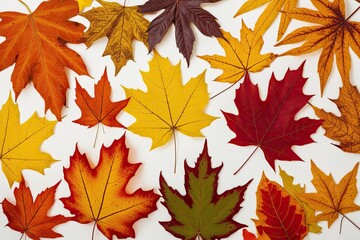 Obraz premium Vibrant Autumn Leaves on White Background Showcasing Fall Foliage in Orange Yellow Red Brown and Gold