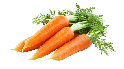 Fresh and vibrant carrots with green tops, perfect for healthy recipes and vibrant dishes, showcasing nature's bounty.