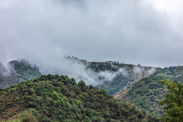 fog over the mountains