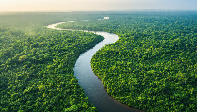 Wide river meandering through the lush green amazon rainforest at sunrise