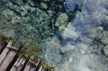 A clear underwater shot of small fish swimming over a rocky seabed, highlighting the natural beauty of marine life and aquatic environments. Keywords: underwater, fish, clear water, rocks, marine life