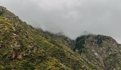 landscape with fog