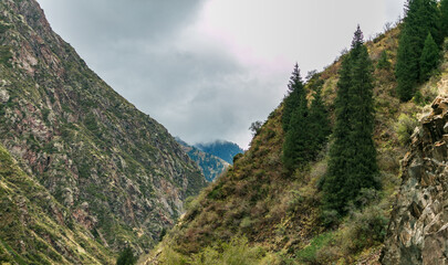 Obraz premium landscape with clouds