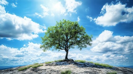 Think BigSmall StartScale FastQuotes Wallpaper