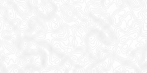 Lines map seamless topographic contour lines vector pattern. Geographic map and topographic contours map background. Vector illustration. White wave paper reliefs.