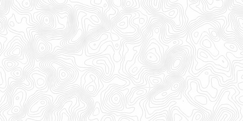 Lines map seamless topographic contour lines vector pattern. Geographic map and topographic contours map background. Vector illustration. White wave paper reliefs.