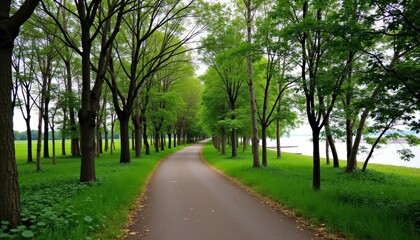 Obraz premium A serene path through a lush forest