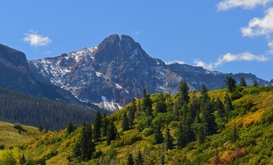 changing aspen trees and snow capped- peaks of the dallas divide in the san juan mountains  on a...
