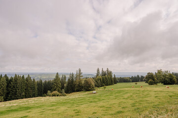 Fototapeta premium A wide rural landscape in Bavaria with green meadows, grazing cows, and dense forests under a cloudy sky..