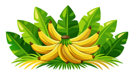banana vector art, illustration of bananas, banana isolated on white