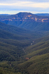 Obraz premium The Blur Mountains of New South Wales, Australia. A view looking down Govett Creek to Mount Banks