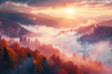 Fototapeta premium Morning sunrise with beautiful nature, autumn scenery of foggy valley. Outdoor travel, relax concept