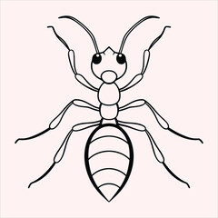 Ants line art vector illustration
