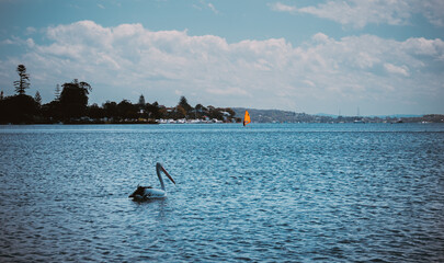 The photo shows a lakeside view located in Ken Lambkin Reserve