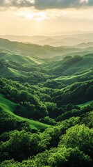 A view of rolling green hills and a forest during sunset.