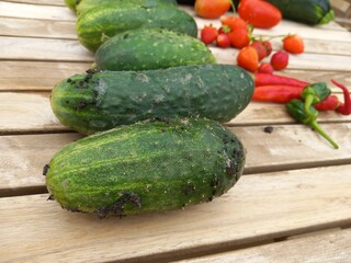 Small harvest of vegetables from a family garden on a wooden table, after gathering.