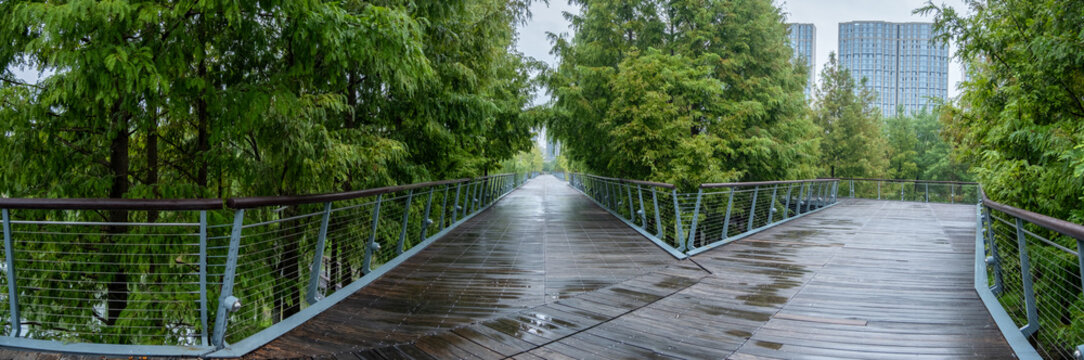 Panoramic of an urban park with an elevated wooden boardwalk, walkway or footpath split into two directions with modern buildings in the background. Public recreational infrastructure.