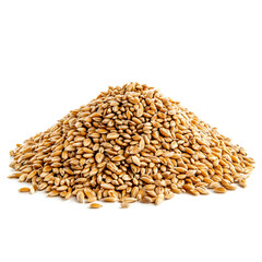 Obraz premium Pile of expanded wheat isolated on white background