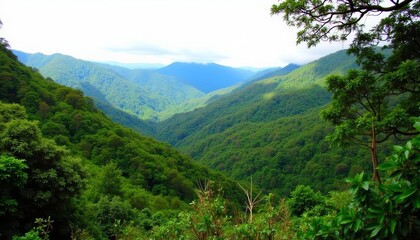 Fototapeta premium Majestic mountain valley a serene natural spectacle