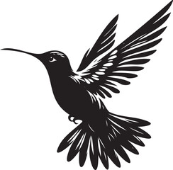 Humming bird silhouette vector artwork