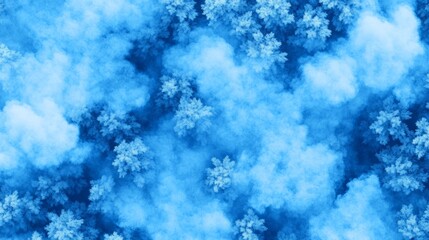 Aerial view of a forest with blue clouds.