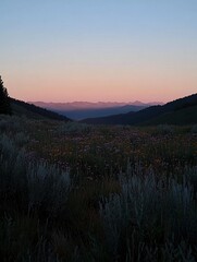 A scenic mountain valley with a field of wildflowers in the foreground and a pink sunset in the background.