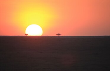 Sonnenuntergang in Masai Mara, Kenia