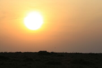 Sonnenuntergang in Masai Mara, Kenia