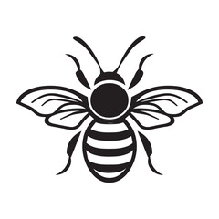 Obraz premium Insect Vector illustration in black and white - Insecta Outline ClipArt Design 