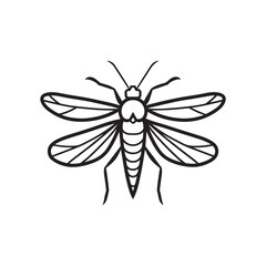 Obraz premium Insect Vector illustration in black and white - Insecta Outline ClipArt Design 