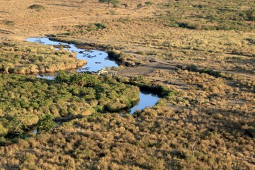 Sonnenaufgang über dem Serengeti Nationalpark 