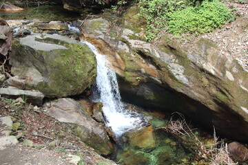 Fototapeta premium waterfall in the forest