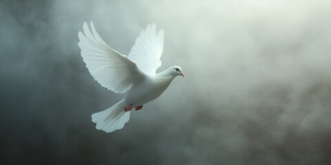 Single Dove Soaring in Bright Sunlit Sky