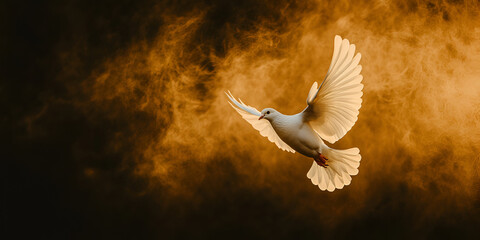 Obraz premium White Dove Flying in Dramatic Sky at Sunset