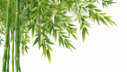Bamboo Backgrounds