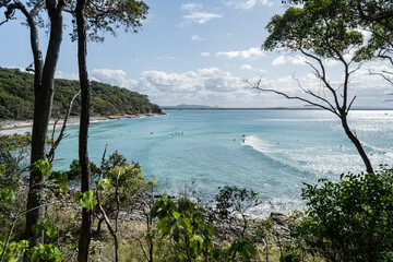 Tea Tree Bay Beach with people surfing on longboards in the national park at Noosa Heads, Queensland, Australia