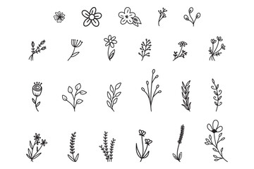 23 Wild Flowers, Wildflower Vector, Wildflower Silhouette