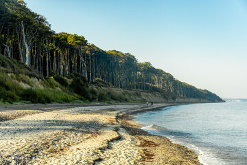 Unterwegs am Ostsee Strand von Nienhagen am mystischen Gespensterwald - Mecklenburg Vorpommern -...