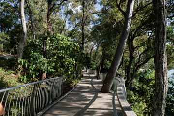 Walkway with Park Road walk at Noosa Heads, Queensland, Australia