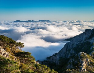 산 정상의 경이로움